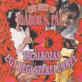 The Best of Gábor S. Pál: Találkozás egy régi szerelemmel by Pál S. Gábor