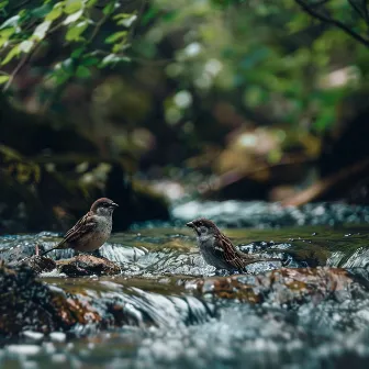 Binaural Nature Calm for Cats: Creek and Birds Sounds by Bibula