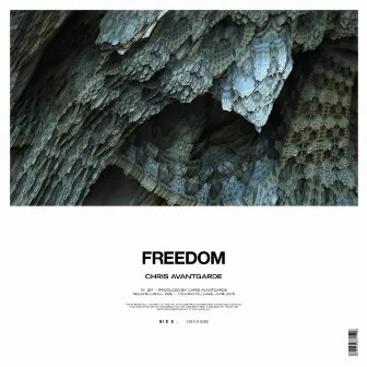 Freedom by Chris Avantgarde