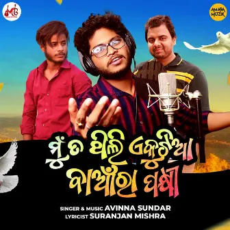 Mun Ta Thili Ekutia Baanra Pakhi by Avinna Sundar