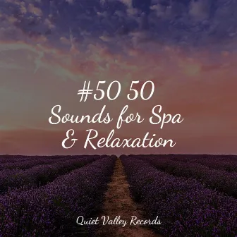 #50 50 Sounds for Spa & Relaxation For Dogs by Sleep Music For Dogs