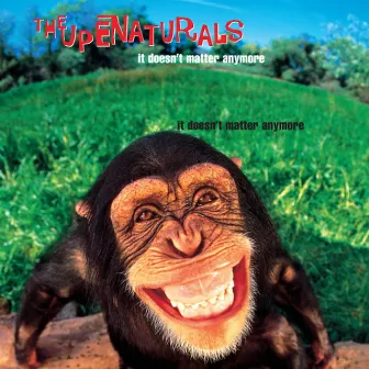 It Doesn't Matter Anymore (Expanded Edition) by The Supernaturals