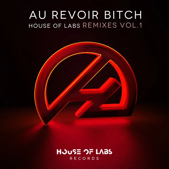 Au Revoir Bitch - Bruno Knauer Mix