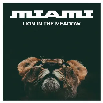 Lion in the Meadow by Miami