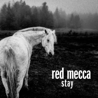 Stay by Red Mecca