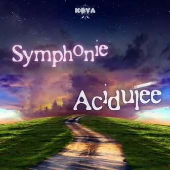 Symphonie Acidulée by Køya