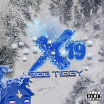 X19 by Sbg Tiggy