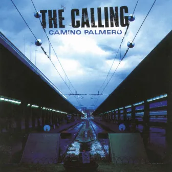 Camino Palmero by The Calling