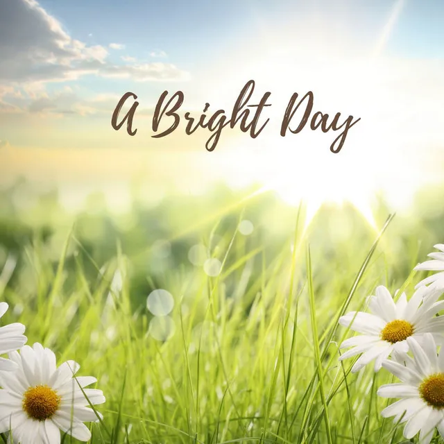 A Bright Day