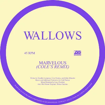 Marvelous (Cole’s Remix) by Wallows