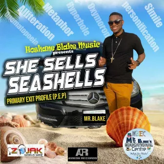 She Sells Seashells by Mr. Blake