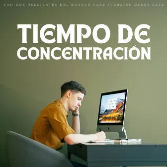 Tiempo De Concentración: Sonidos Relajantes Del Bosque Para Trabajar Desde Casa by La red de música para estudiar