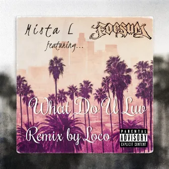 What Do U Luv (Remix) by Mista L