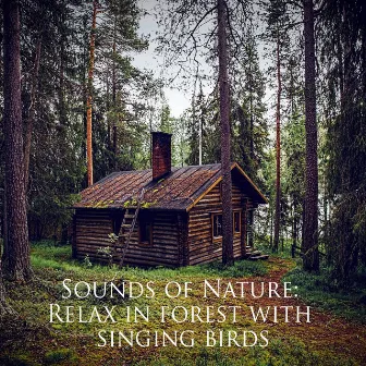 Peaceful Forest Sound. Chillout Relaxation with Nature Sound by Reiki Music to Sleep