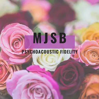 Psychoacoustic Fidelity by MJSB