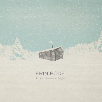 A Cold December Night by Erin Bode