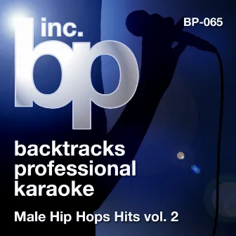 Karaoke: Male Hip Hop Hits, Vol. 2 - EP by Backtrack Professional Karaoke Band