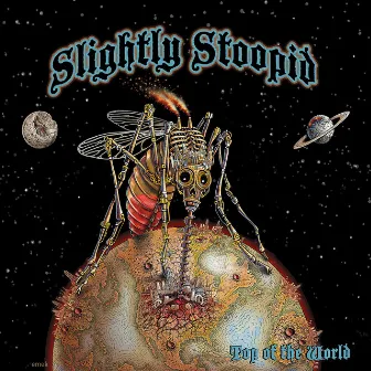 Top of the World by Slightly Stoopid