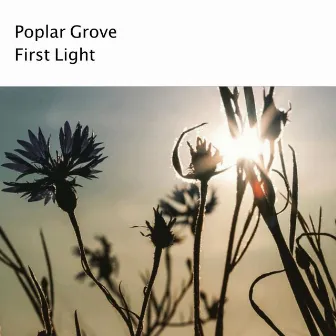 First Light by Poplar Grove