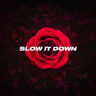 Slow it Down (Rose Version) by shy ink