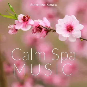 Calm Spa Music: Soothing Songs with Perfect Background for Body Detox by Spa Center