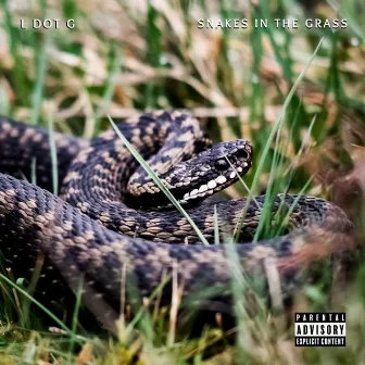 Snakes in the Grass by L Dot G