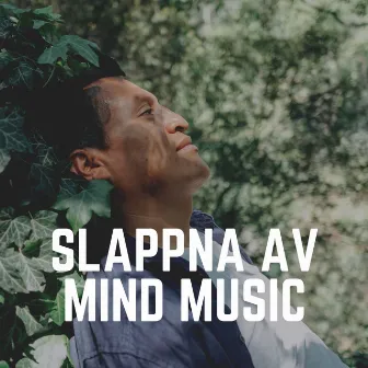 Slappna Av Mind Music by Avslappnande Musik