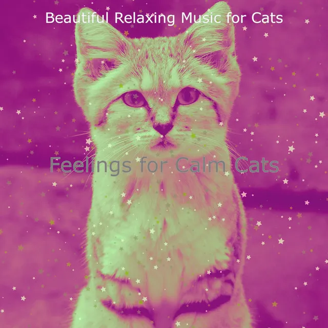 Beautiful Relaxing Music for Cats