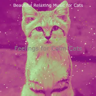 Feelings for Calm Cats by 