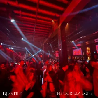 the gorilla zone by Dj Satile