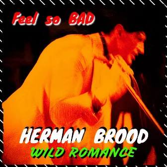 Feel so Bad by Herman Brood & His Wild Romance