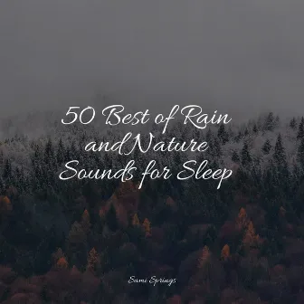 50 Best of Rain and Nature Sounds for Sleep by Rain Storm Sample Library