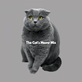 The Cat's Meow Mix by Relaxing Music Playlist Chill Out