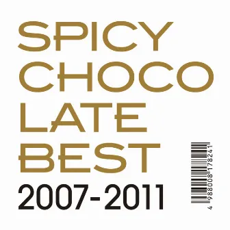 BEST 2007-2011 by SPICY CHOCOLATE