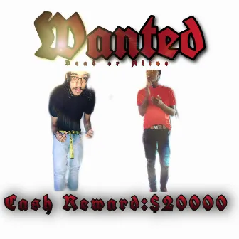 WANTED by Sprrngs