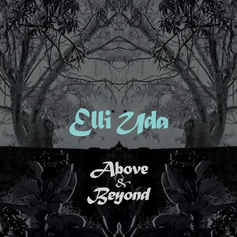 Above & Beyond by Elli Uda