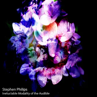 Ineluctable Modality of the Audible by Stephen Philips