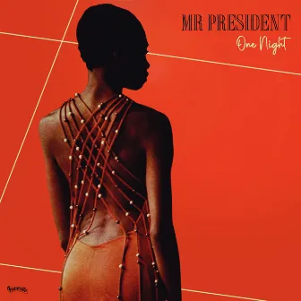 One Night by Mr President