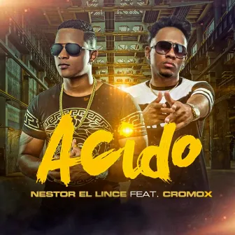 Acido by Nestor el Lince