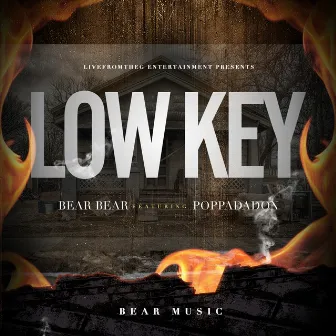 Low Key by Bear Bear