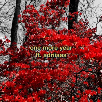 one more year by aesir