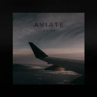 Aviate by Wiljan