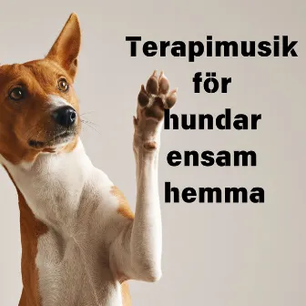 Terapimusik för hundar ensam hemma by Dogotherapy