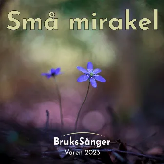 Små mirakel by Brukssånger