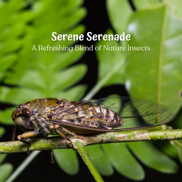 Serene Serenade: A Refreshing Blend of Nature Insects