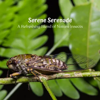 Serene Serenade: A Refreshing Blend of Nature Insects by Forest Crickets