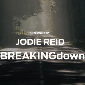 Breaking Down by Jodie Reid