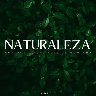 Naturaleza: Sonidos De Las Aves De Montaña Vol. 1 by Hipnosis Naturaleza Sonidos Universo