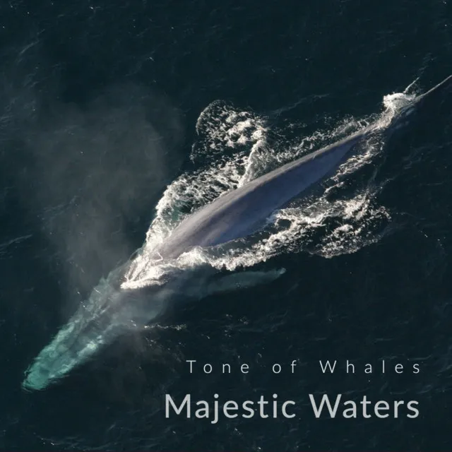 Tone of Whales