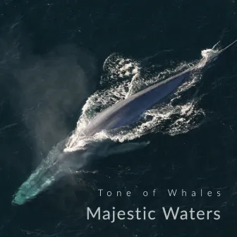 Tone of Whales by Majestic Waters